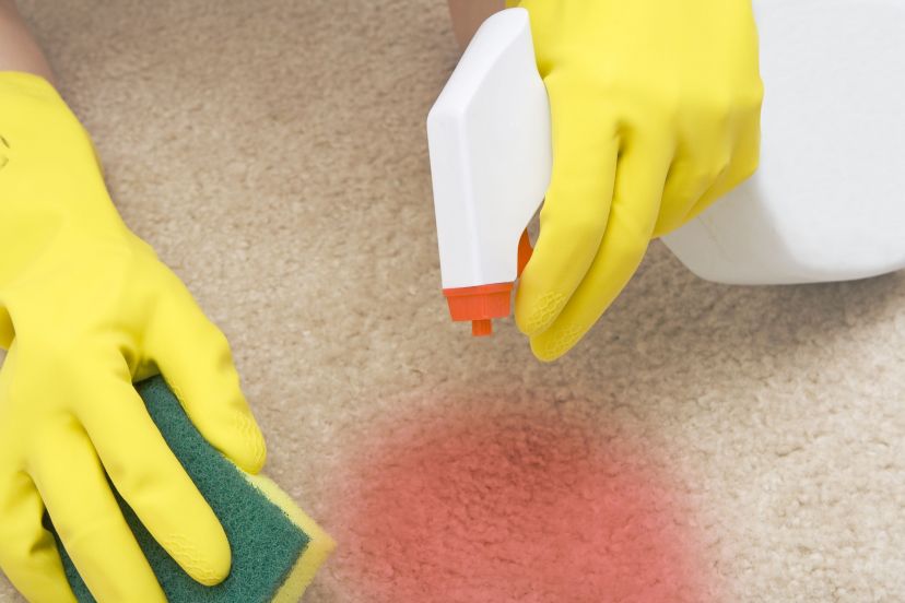 Selecting the Right Process for Carpet Cleaning