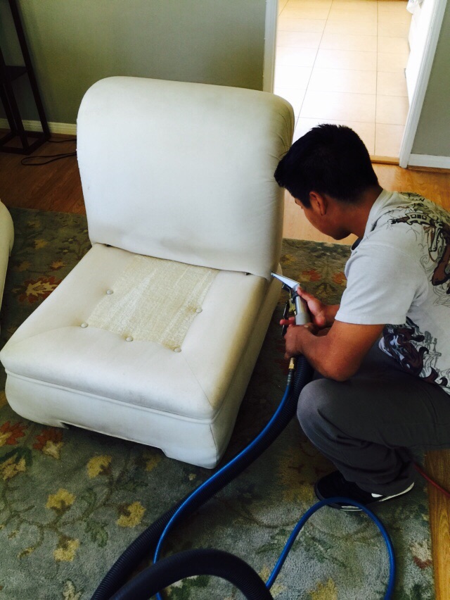 Sofa Cleaning