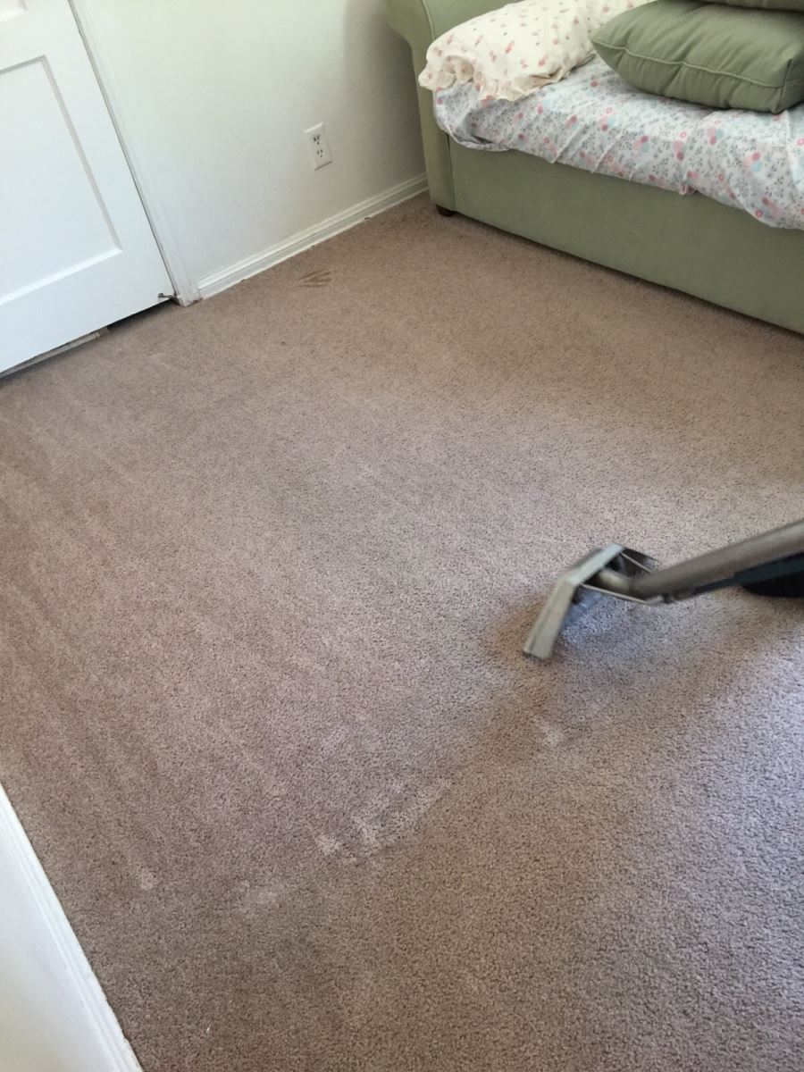 About carpet cleaning
